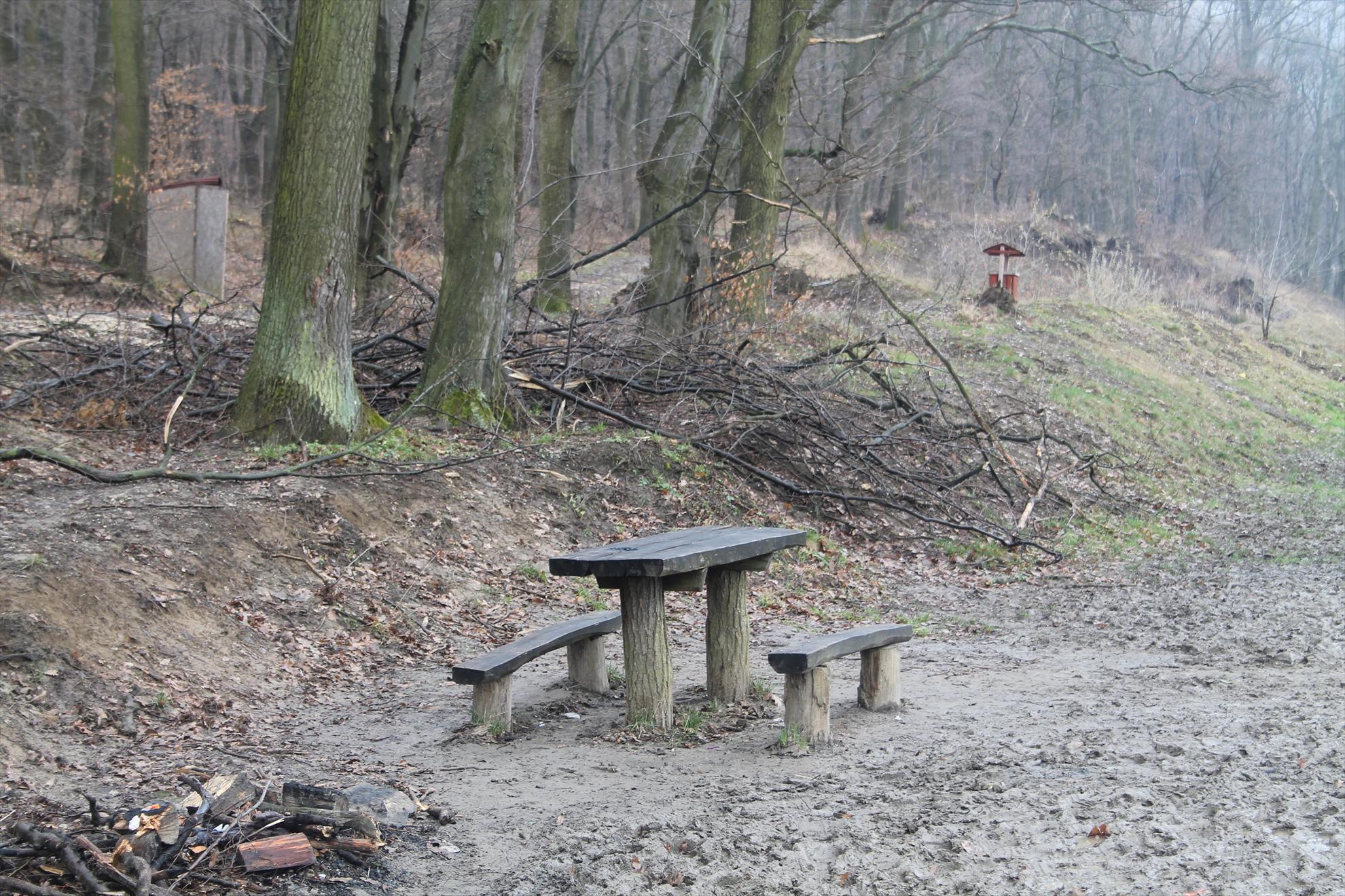 Peisaje... - harsany-aprilie2013-1071.JPG